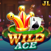 Wild Ace in ph222 login password app